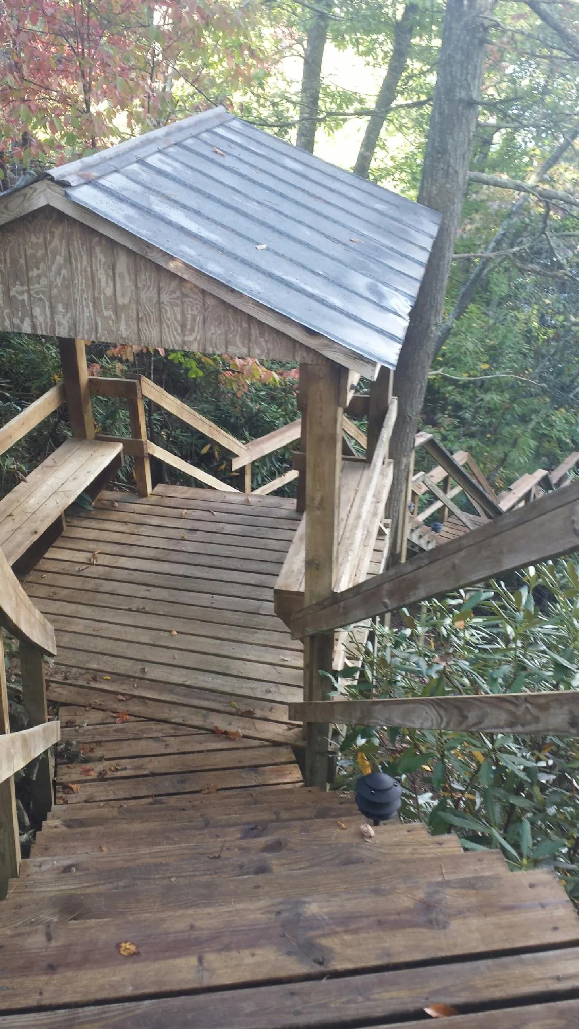 Metal roofed shelter over wooden steps on a wooded walkway — Skylight Repair & Installation work by our crew in Bayard